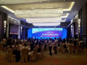 整合資源，打造卓越室內(nèi)晚宴體驗——海南佳鑫文化傳播的全方位服務方案