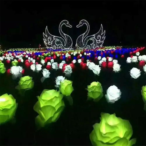 雨夜流光溢彩時——包頭會展夜景的驚艷綻放